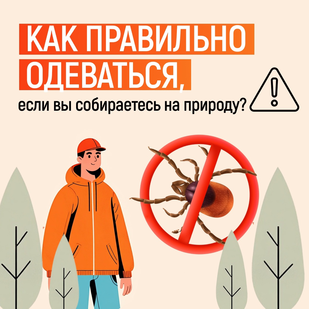 Собираетесь на прогулку в лес? Не забывайте о безопасности!.